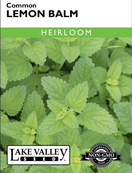 Lemon Balm Common Heirloom