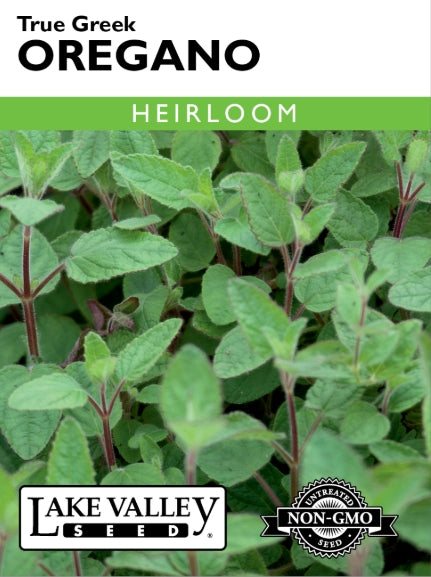 Oregano True Greek Heirloom