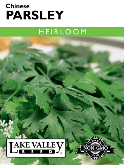 Parsley Chinese Heirloom