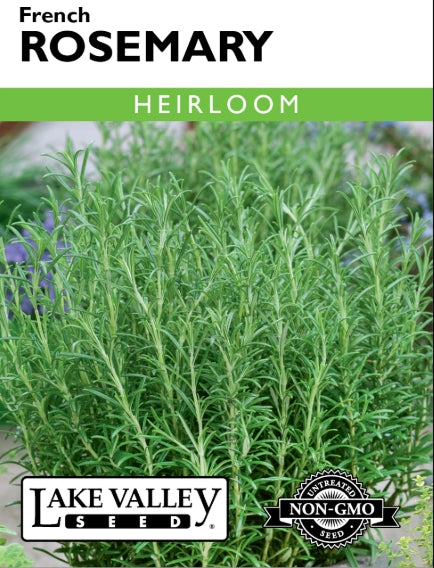 Rosemary French Heirloom