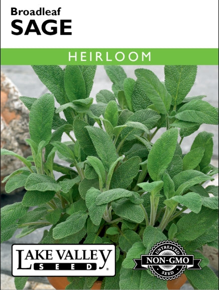Sage Broadleaf Heirloom