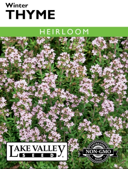 Thyme Winter Heirloom
