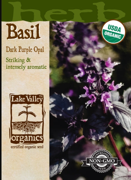 Organic Basil Dark Purple Opal Heirloom