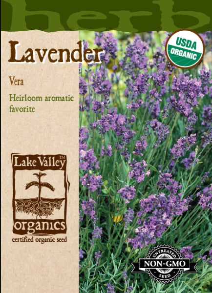 Organic Lavender Vera Heirloom
