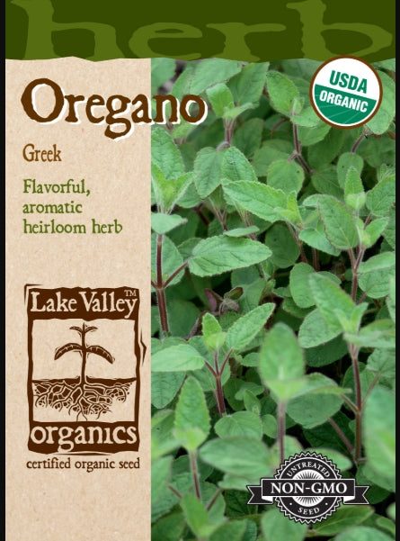 Organic Oregano Greek Heirloom