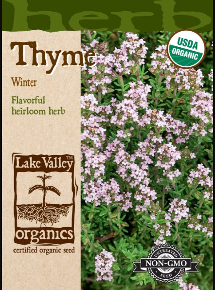 Organic Thyme Winter Heirloom