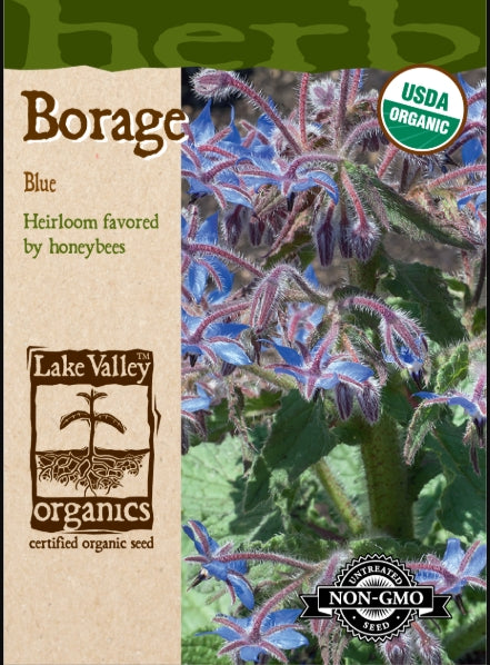 Borage Blue Heirloom