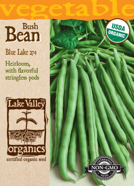 Organic Bean Bush Blue Lake 274 Heirloom