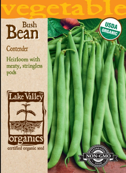 Organic Bean Bush Contender Heirloom