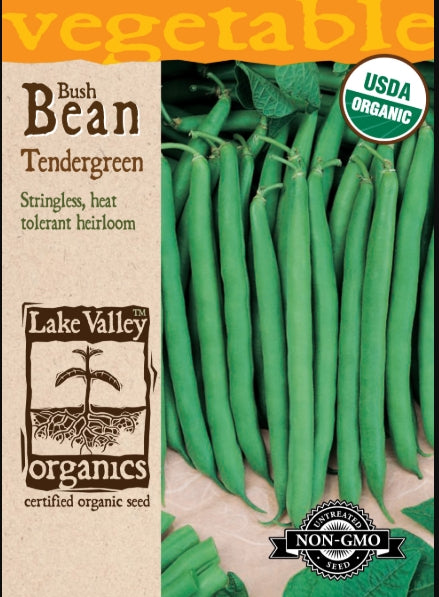 Organic Bean Bush Tendergreen Heirloom