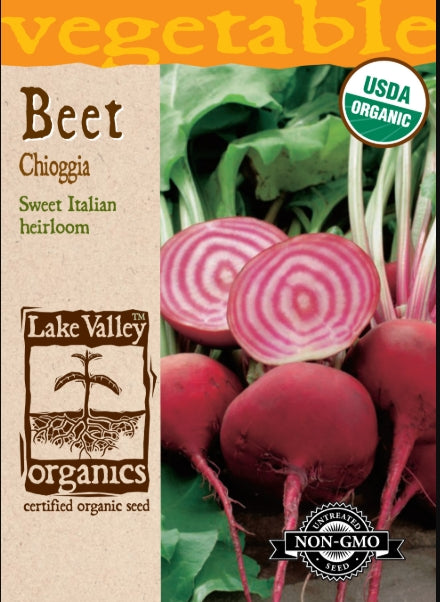 Organic Beet Chioggia Heirloom