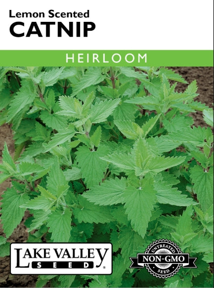 Catnip Lemon Scented Heirloom