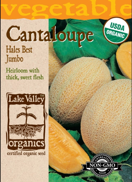 Organic Cantaloupe Hales Best Jumbo Heirloom