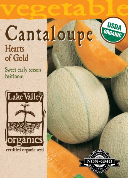 Organic Cantaloupe Hearts of Gold Heirloom