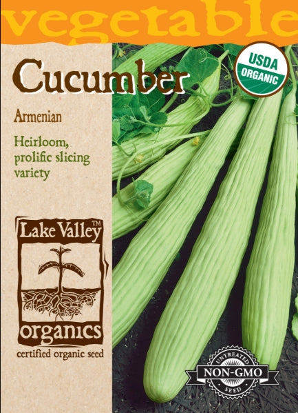 Organic Cucumber American Heirloom