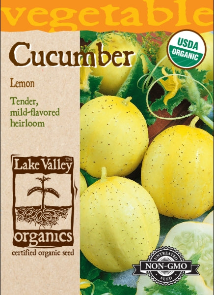 Organic Cucumber Lemon Heirloom