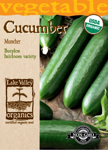 Organic Cucumber Muncher Heirloom