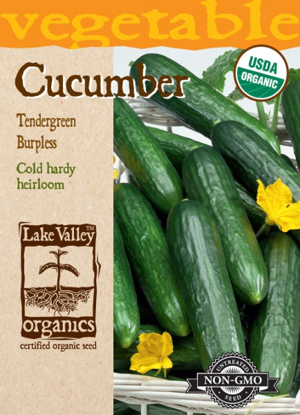 Organic Cucumber Tendergreen Burpless Heirloom