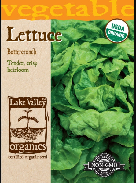 Organic Lettuce Buttercrunch Heirloom