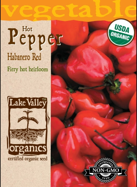 Organic Pepper Hot Habanero Red Heirloom