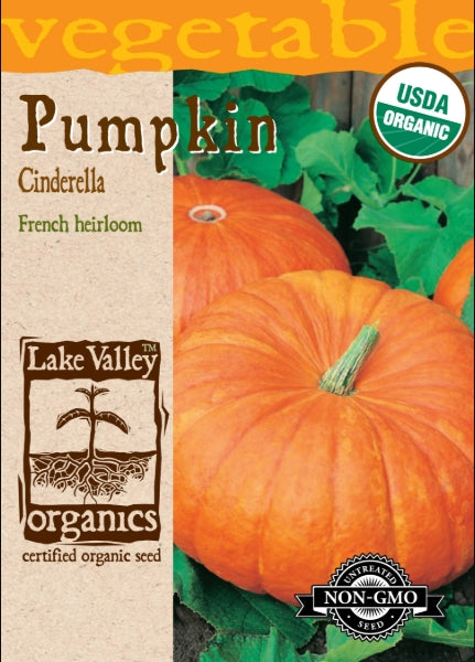 Organic Pumpkin Cinderella Heirloom