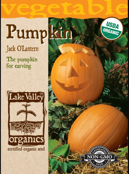 Organic Pumpkin Jack O'lantern