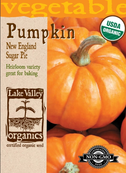 Organic Pumpkin New England Sugar Pie Heirloom