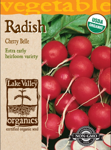 Organic Radish Cherry Belle Heirloom