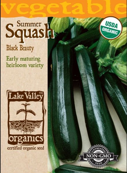 Organic Squash Summer Black Beauty Heirloom