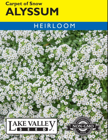 Alyssum Carpet of Snow Heirloom