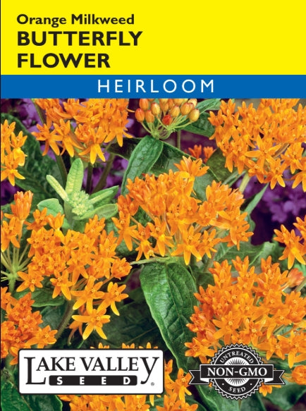 Butterfly Flower Orange Heirloom