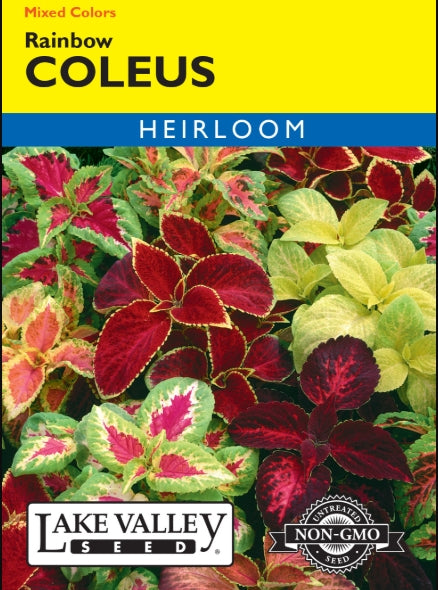 Coleus Rainbow Mixed Colors Heirloom