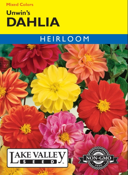Dahlia Unwin's Mixed Colors Heirloom