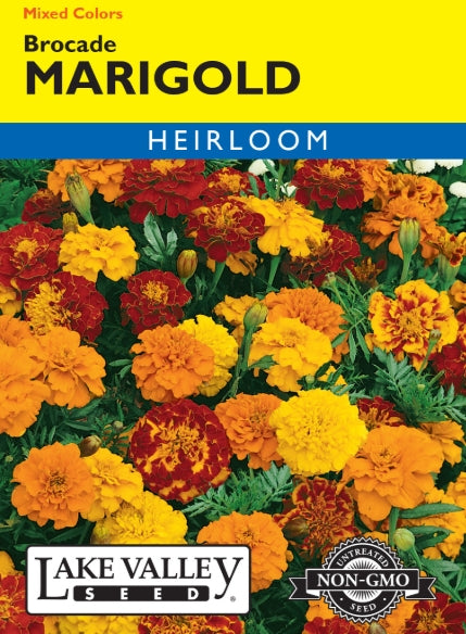 Marigold Brocade Mixed Colors Heirloom