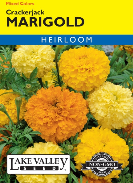 Marigold Crackerjack Mixed Colors Heirloom