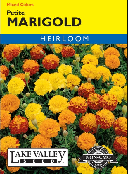 Marigold Petite Mixed Colors Heirloom