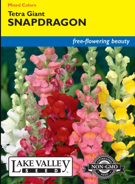 Snapdragon Tetra Giants Mixed Colors