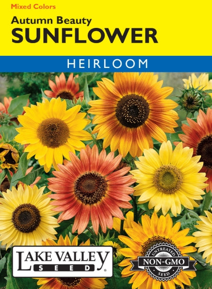 Sunflower Autumn Beauty Mixed Colors Heirloom