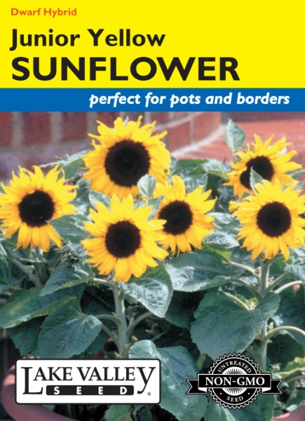 Sunflower Junior Yellow