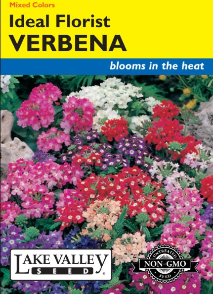 Verbena Ideal Florist Mixed Colors Heirloom