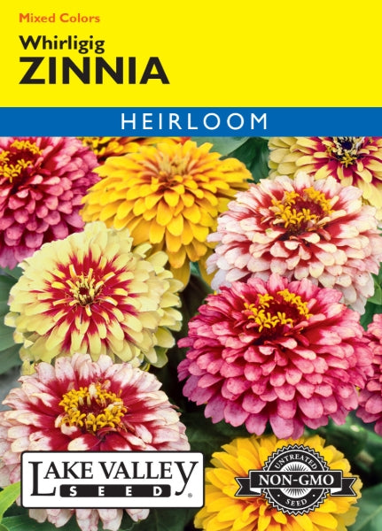 Zinnia Whirligig Mixed Colors Heirloom