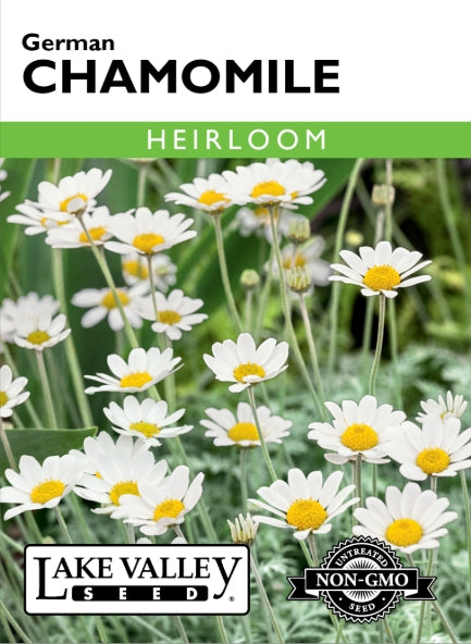 Chamomile German Heirloom