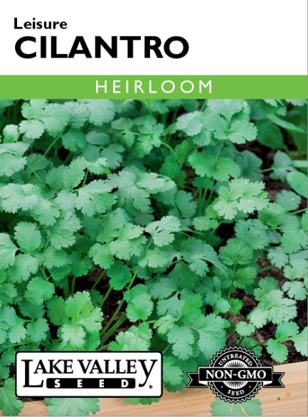 Cilantro Leisure Heirloom