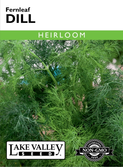 Dill Fernleaf Heirloom