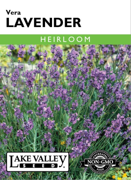 Lavender Vera Heirloom