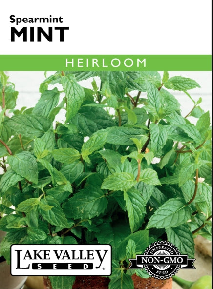 Mint Spearmint Heirloom