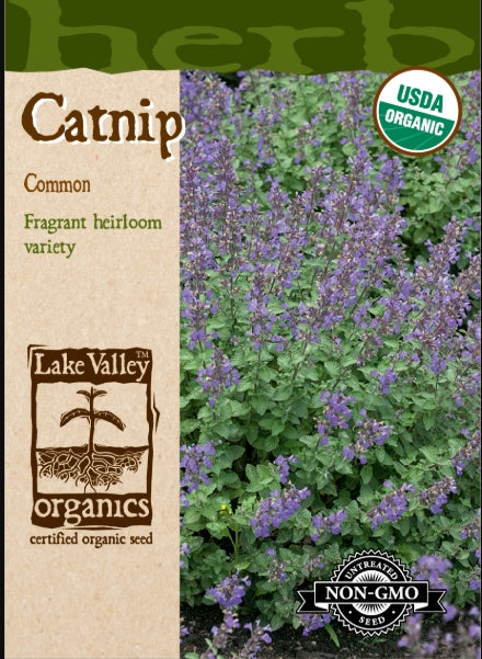 Organic Catnip Common Heirloom