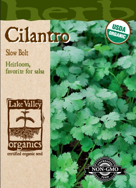 Organic Cilantro Slow Bolt Heirloom
