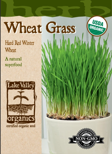 Organic Wheat Grass Hard Red Winter Wheat