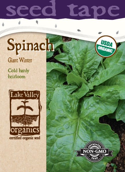 Organic Spinach Giant Winter - Seed Tape